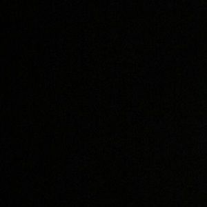 Meet your Posher, Brayden